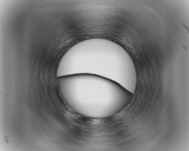 X0000096440130200801241126