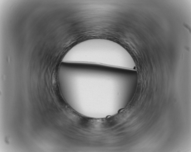 X0000096440131200801241126