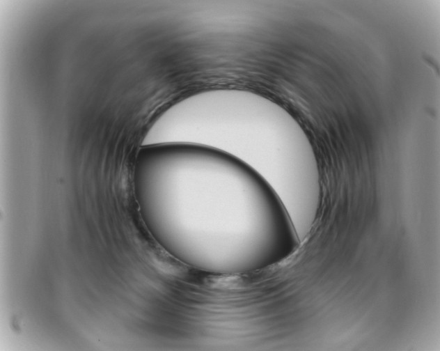 X0000096440132200801241126