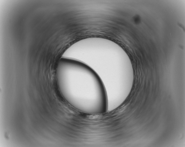 X0000096440135200801241126
