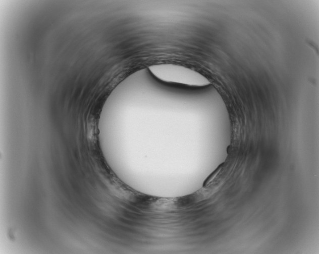 X0000096440138200801241126
