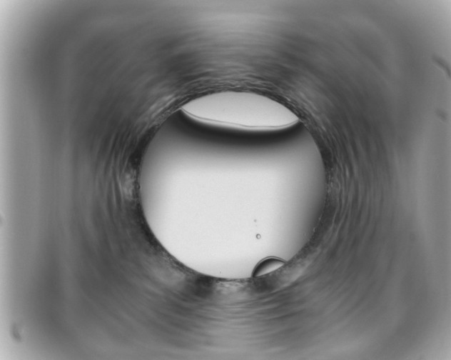 X0000096440139200801241126