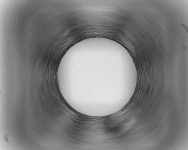 X0000096440141200801241126