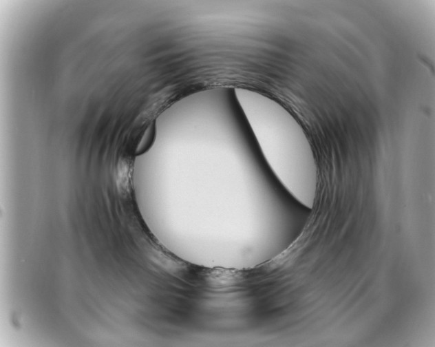 X0000096440142200801241126