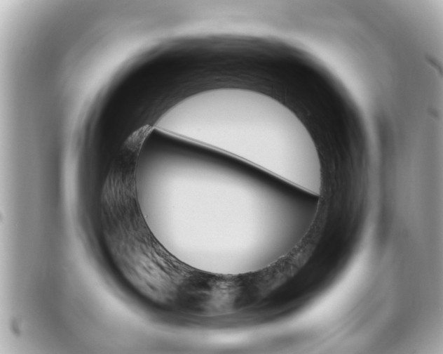 X0000096440143200801241126