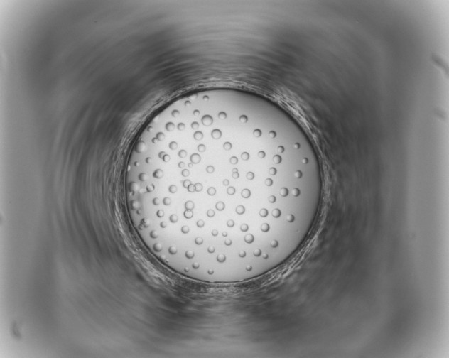 X0000096440145200801241125