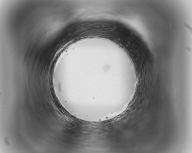 X0000096440146200801241125