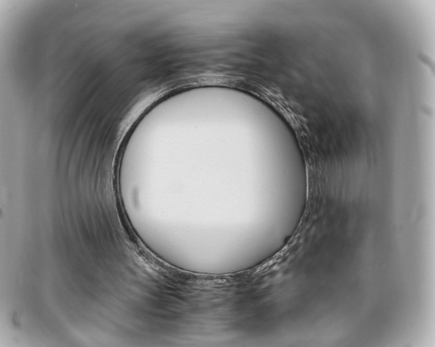 X0000096440147200801241125