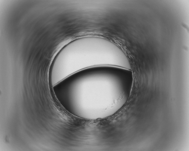 X0000096440148200801241125