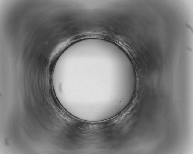 X0000096440149200801241125