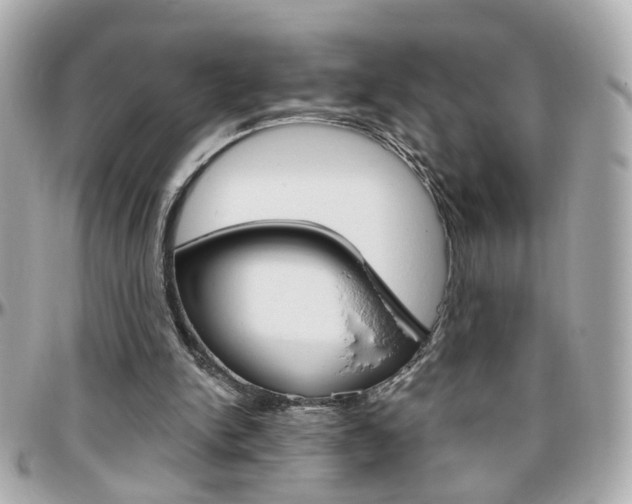 X0000096440150200801241125