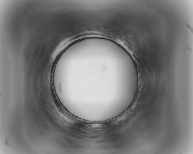 X0000096440151200801241125