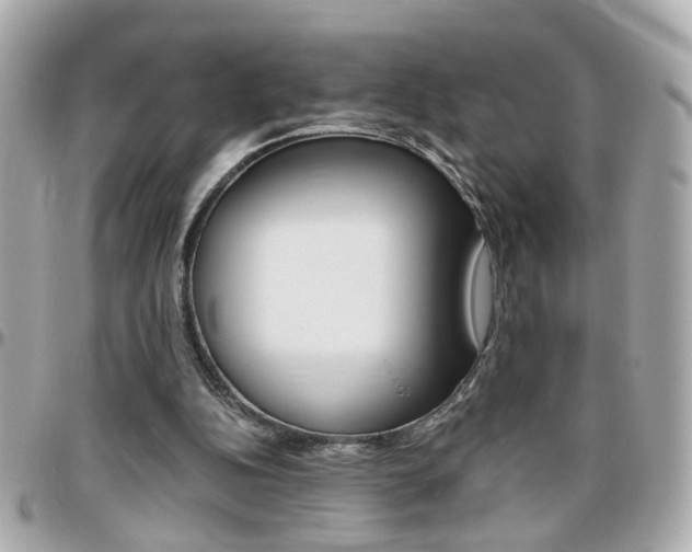 X0000096440152200801241125