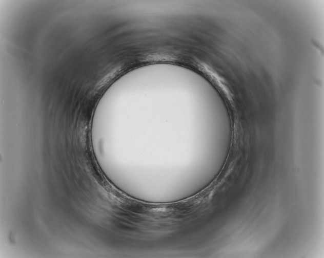 X0000096440153200801241125