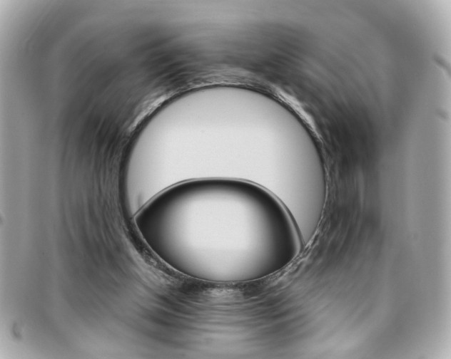 X0000096440154200801241125