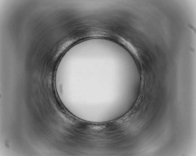 X0000096440155200801241125