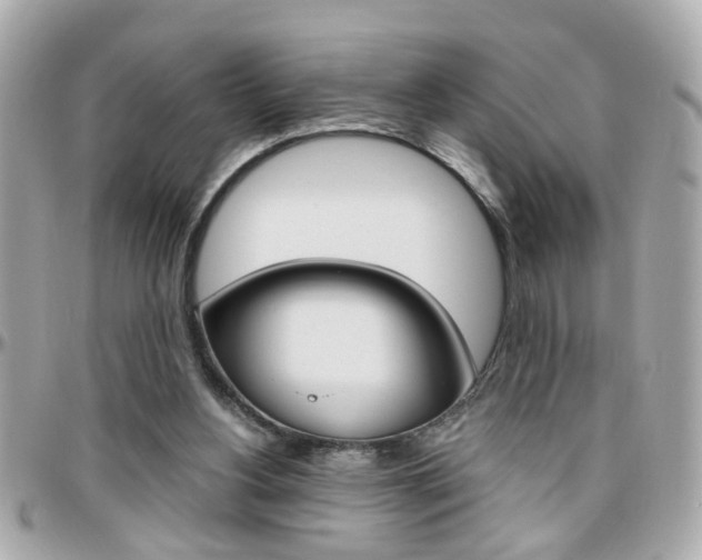 X0000096440156200801241125