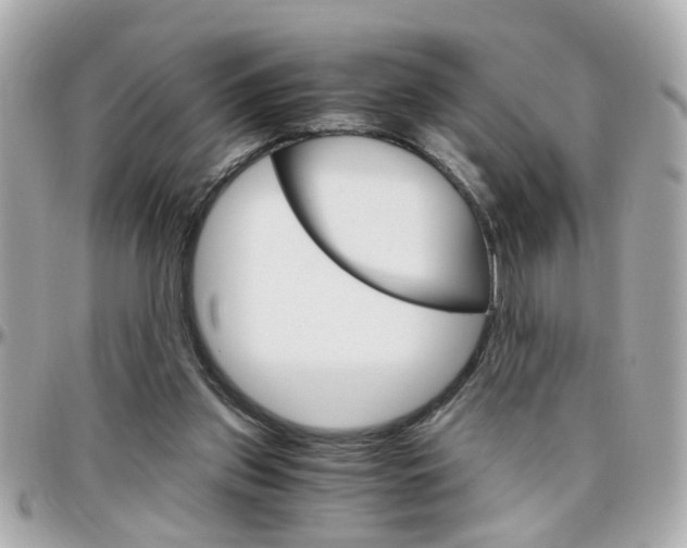 X0000096440157200801241126