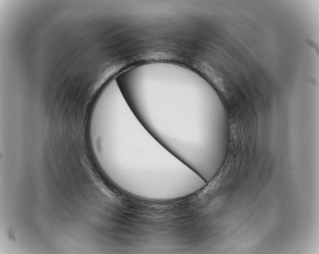 X0000096440159200801241126