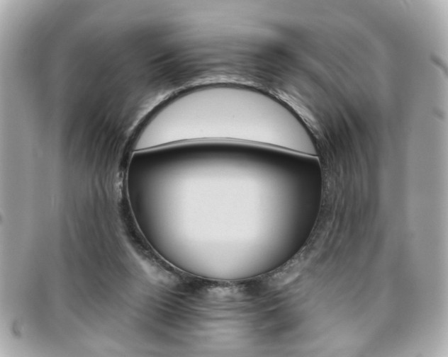 X0000096440160200801241126