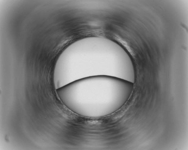 X0000096440161200801241126