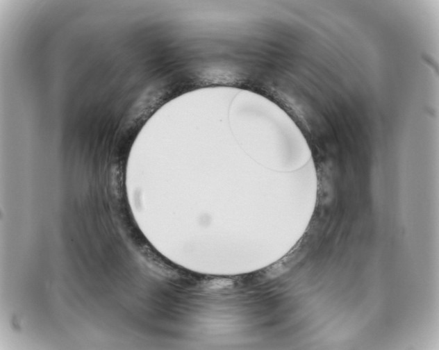 X0000096440162200801241126