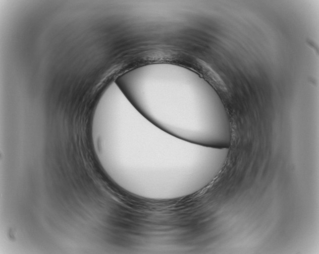 X0000096440163200801241126