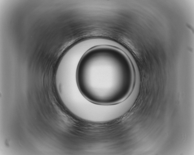 X0000096440164200801241126