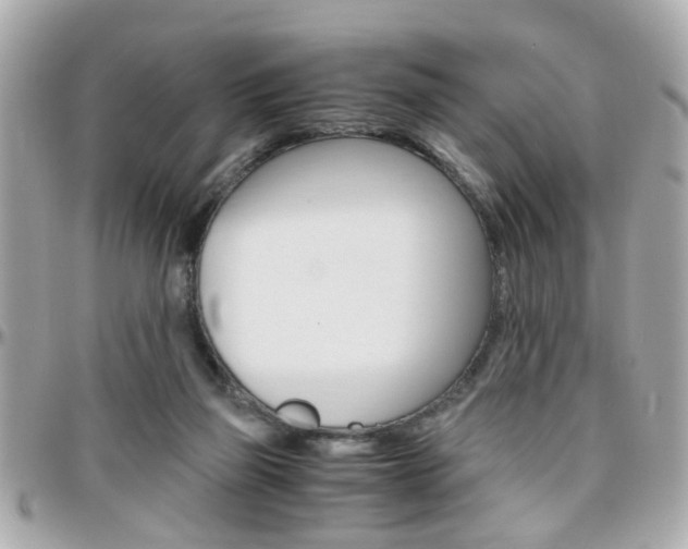 X0000096440165200801241126