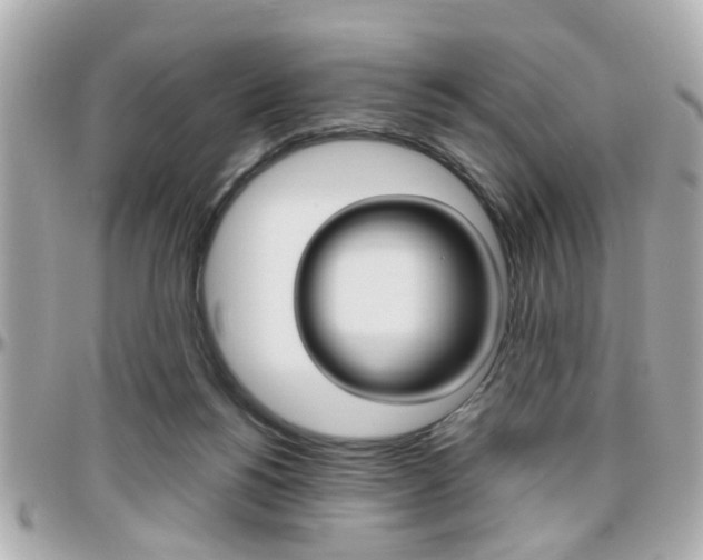 X0000096440168200801241126