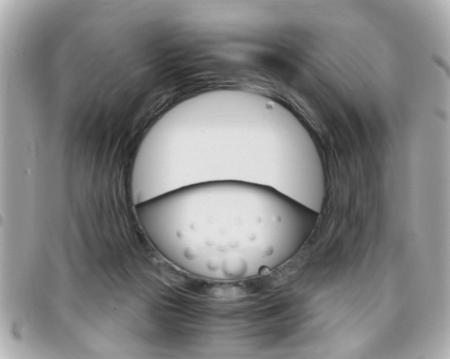 X0000096440169200801241126
