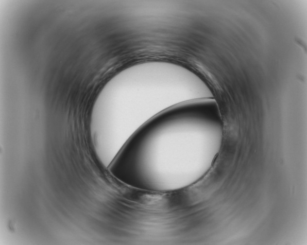X0000096440170200801241126