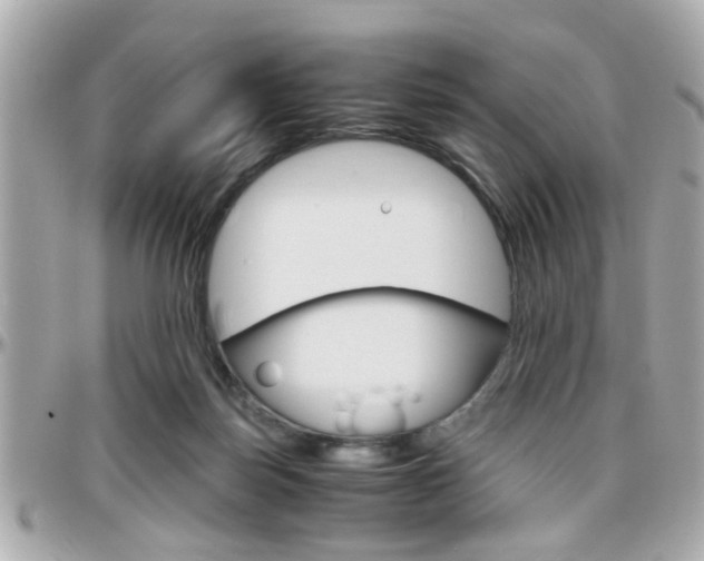 X0000096440171200801241126