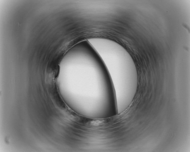 X0000096440172200801241126