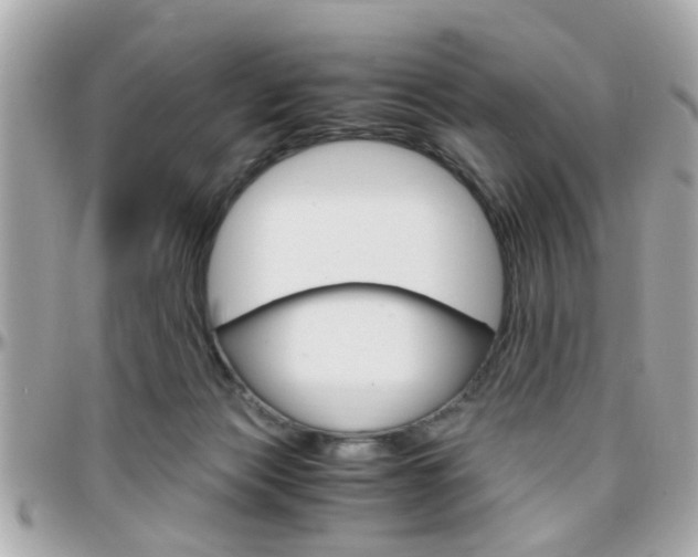 X0000096440173200801241126