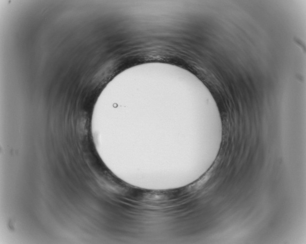 X0000096440174200801241126