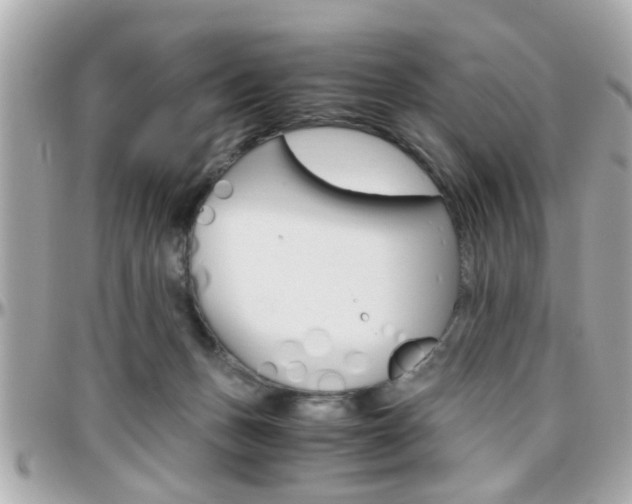 X0000096440175200801241126