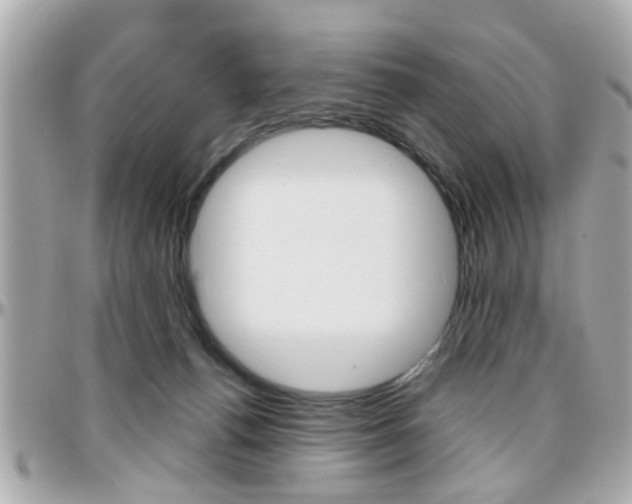 X0000096440176200801241126