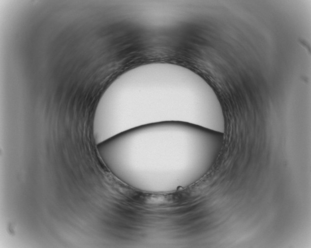 X0000096440177200801241126