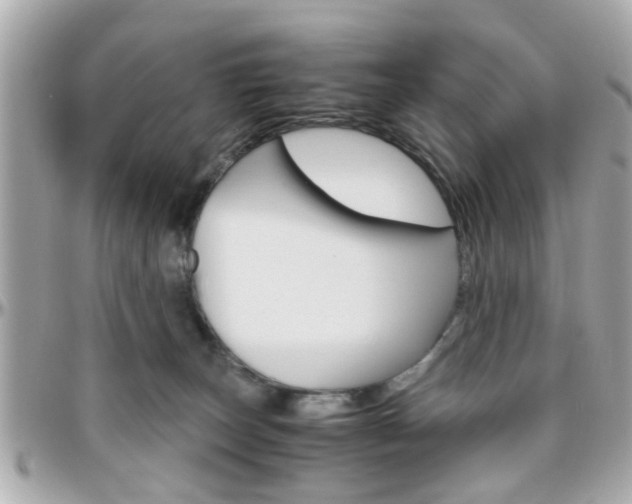 X0000096440179200801241126