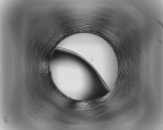 X0000096440180200801241126