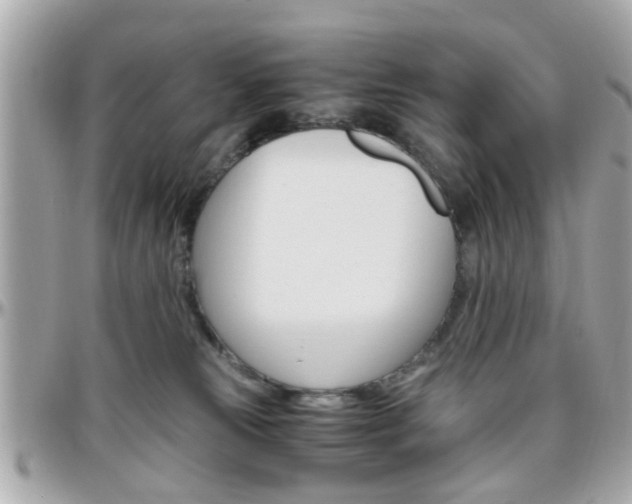 X0000096440181200801241126