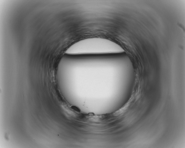 X0000096440182200801241126
