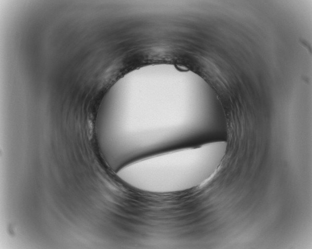 X0000096440183200801241126