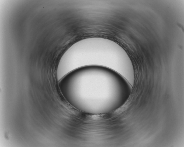 X0000096440184200801241126