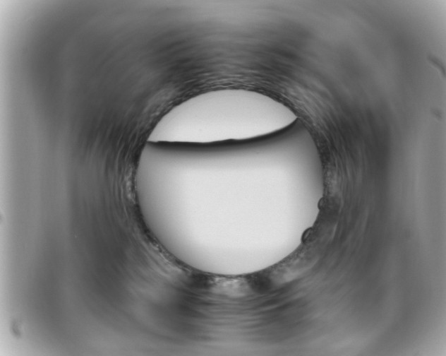 X0000096440185200801241126