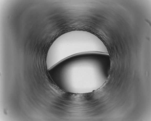 X0000096440186200801241126