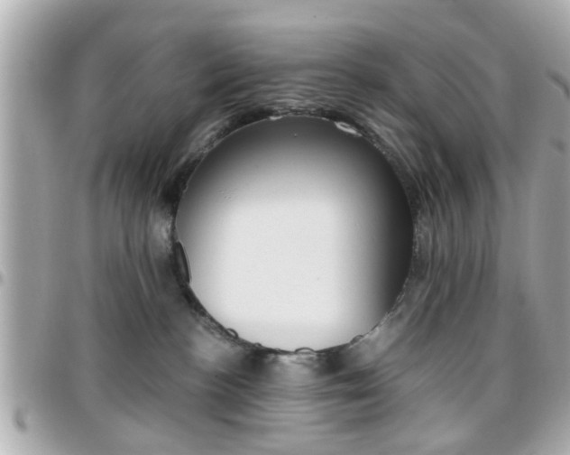 X0000096440188200801241126