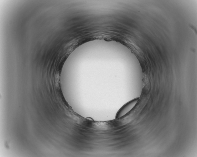 X0000096440189200801241126