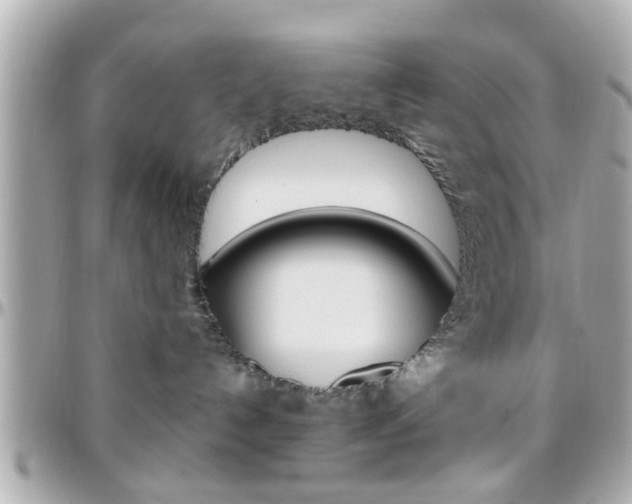 X0000096440192200801241126